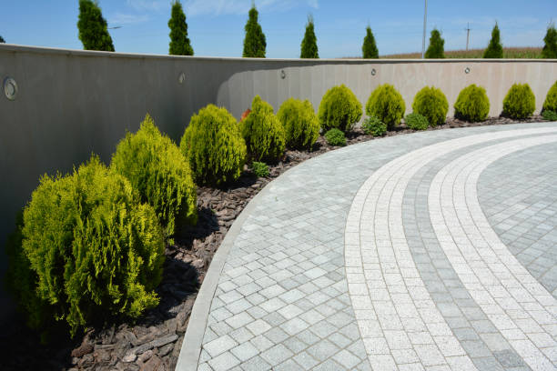 Best Residential Paver Driveway  in Warrenton, MO